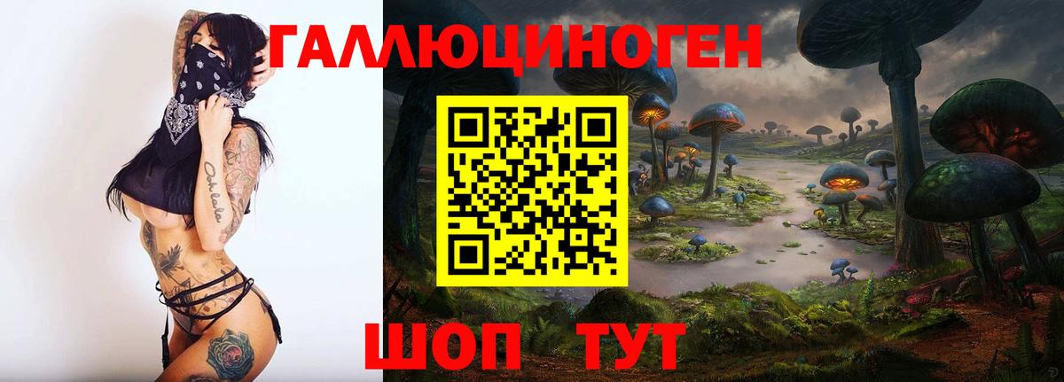 Псилоцибиновые грибы GOLDEN TEACHER Качканар